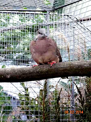 DSC00768