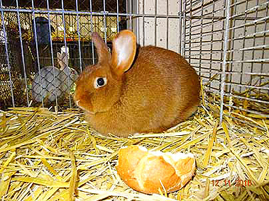 DSC02500 DSC02500