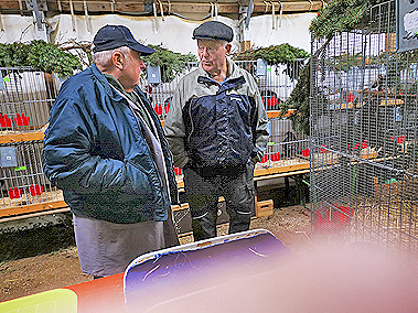 IMG_20191108_163417 IMG_20191108_163417