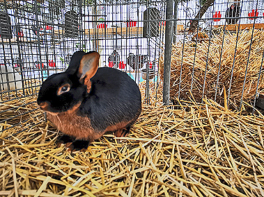 IMG_20191110_112127 IMG_20191110_112127