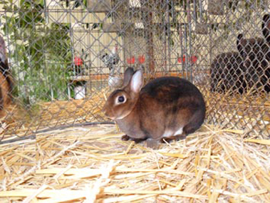 SAM_0159 SAM_0159
