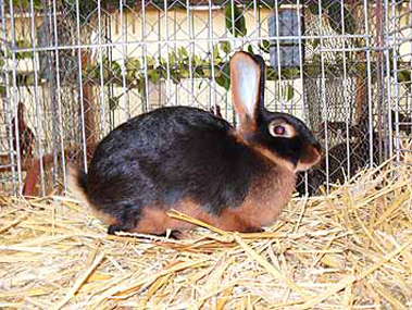 SAM_0167 SAM_0167