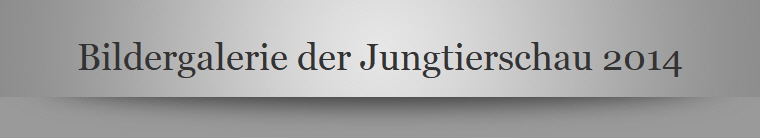 Bildergalerie der Jungtierschau 2014