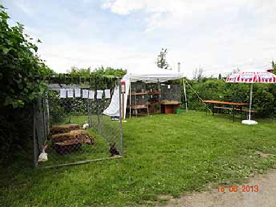 DSC00279170613
