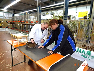 DSC00525 DSC00525