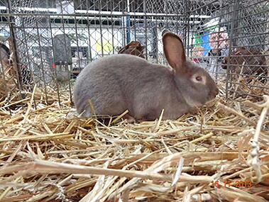 DSC00553 DSC00553