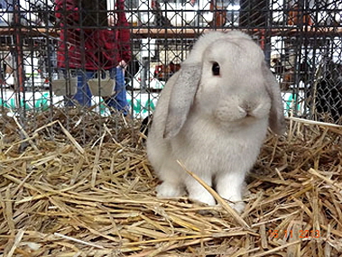 DSC00558 DSC00558