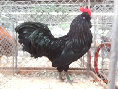 DSC00570