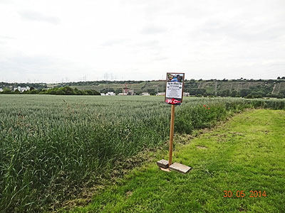 DSC00892