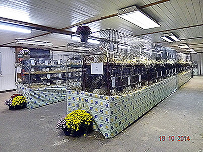 DSC01064