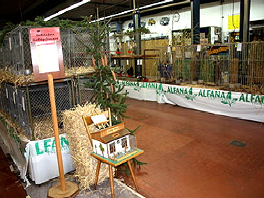 IMG_1227 IMG_1227