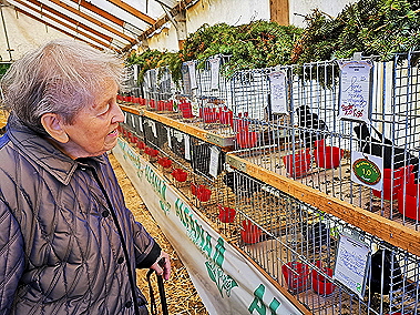 IMG_20191110_110443 IMG_20191110_110443