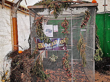 IMG_20191110_112019 IMG_20191110_112019
