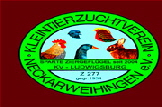 Logo Hintergrund ROT