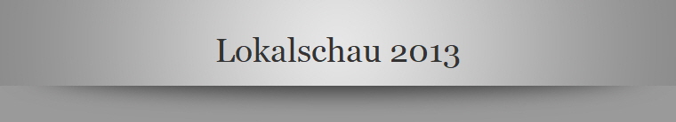Lokalschau 2013