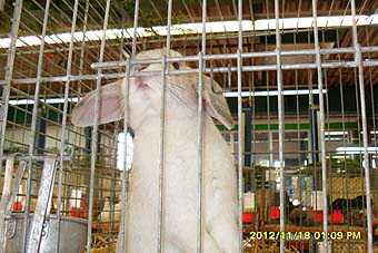 SAM_0366