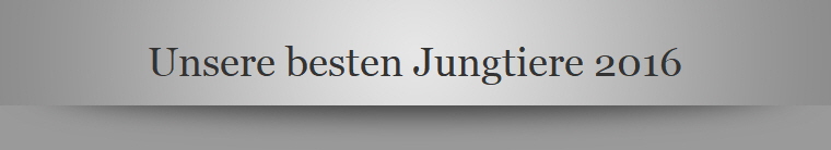 Unsere besten Jungtiere 2016