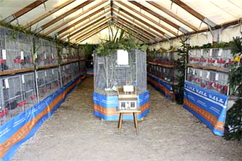 Zelt 1