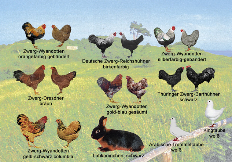Alle Tiere