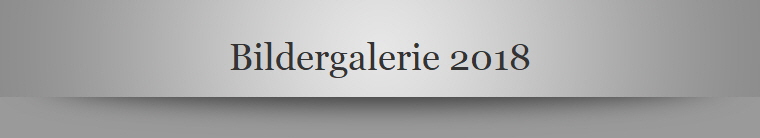 Bildergalerie 2018