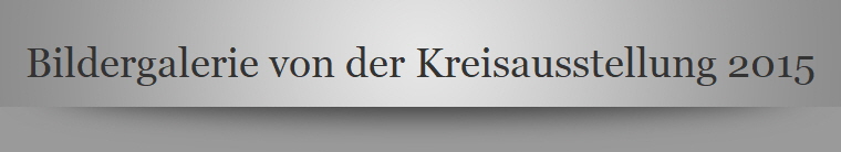 Bildergalerie von der Kreisausstellung 2015