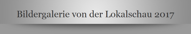 Bildergalerie von der Lokalschau 2017