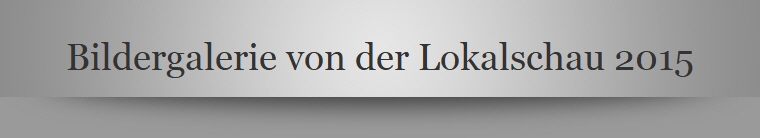 Bildergalerie von der Lokalschau 2015