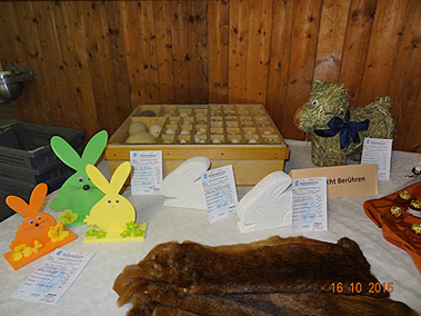 DSC01909