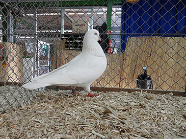 DSC02013