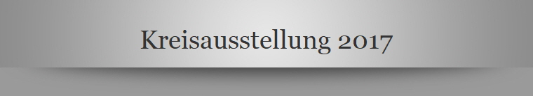 Kreisausstellung 2017