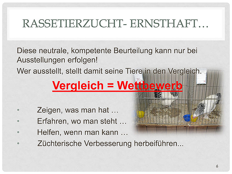 Rassetierzucht-_Pokaljagd-22